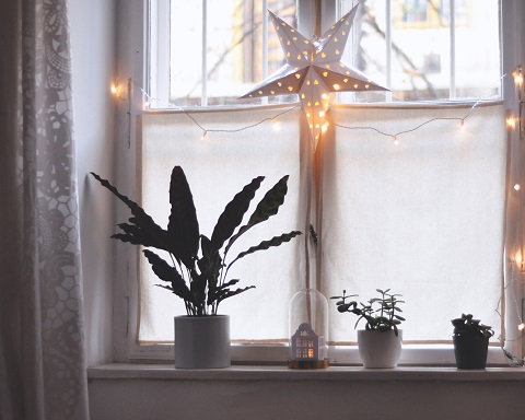 White window with fairy lights