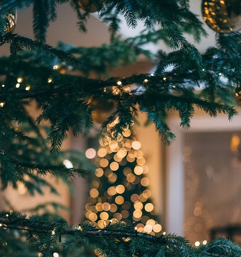 Outside Christmas tree with lights