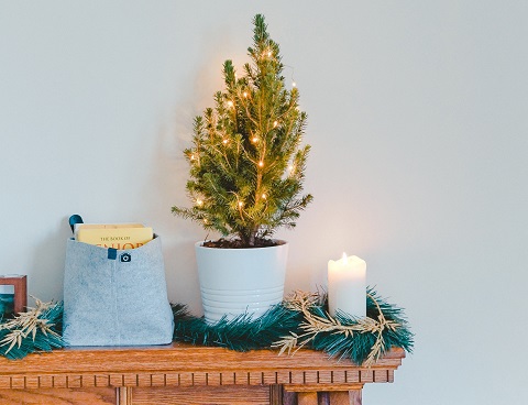 Small Christmas tree with lights 