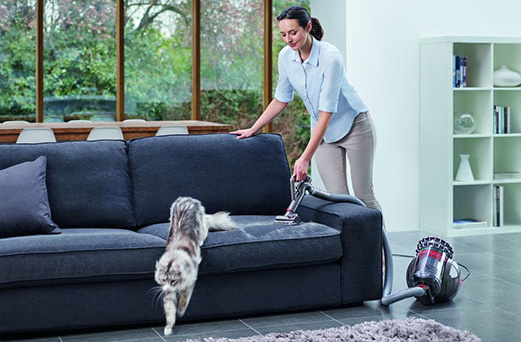 Woman vacuuming navy sofa as cat jumps down